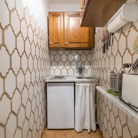 Acciaiuoli 18 * Floransa